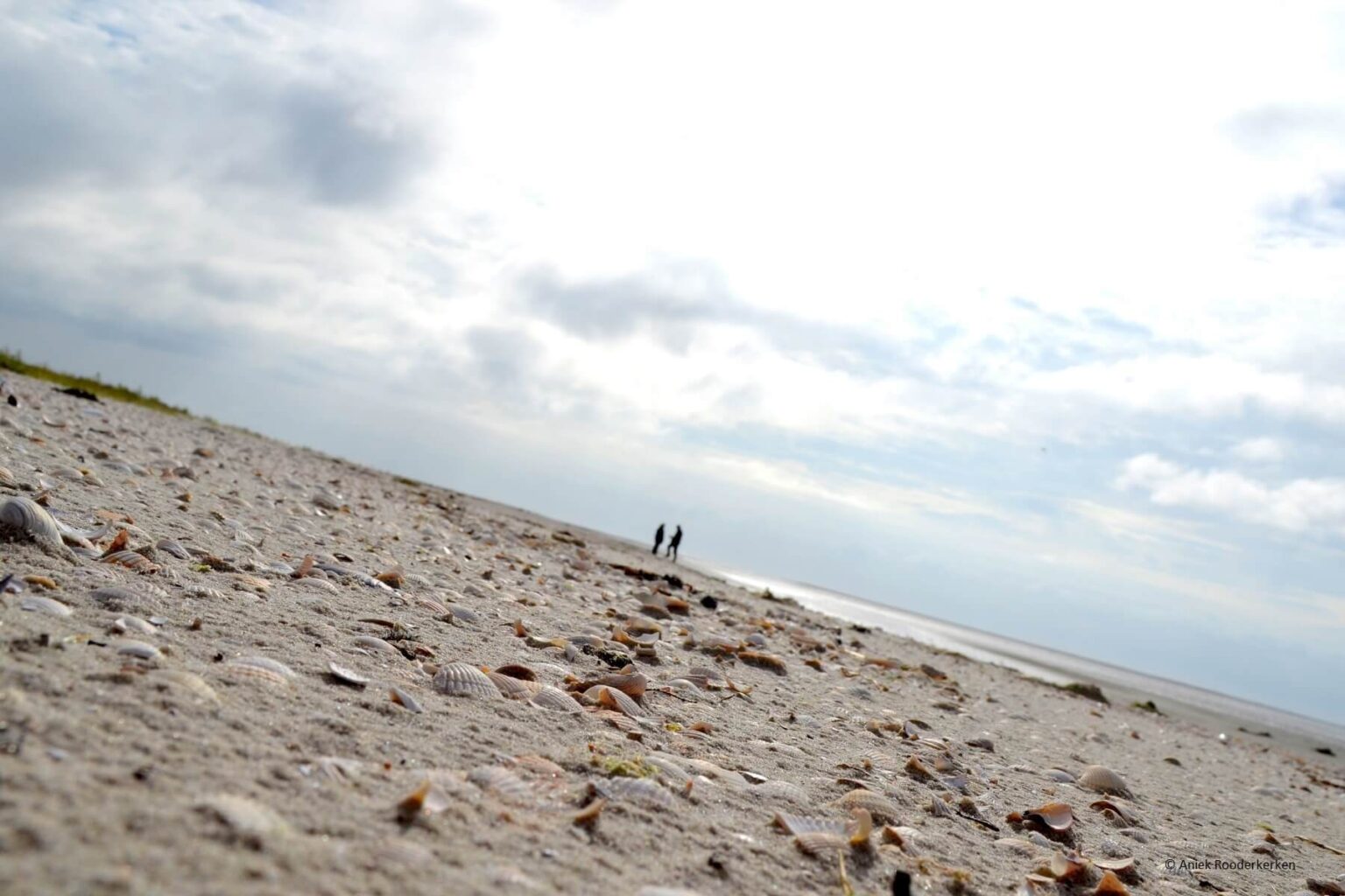 Werelderfgoed Waddenzee, op de grens van water en land