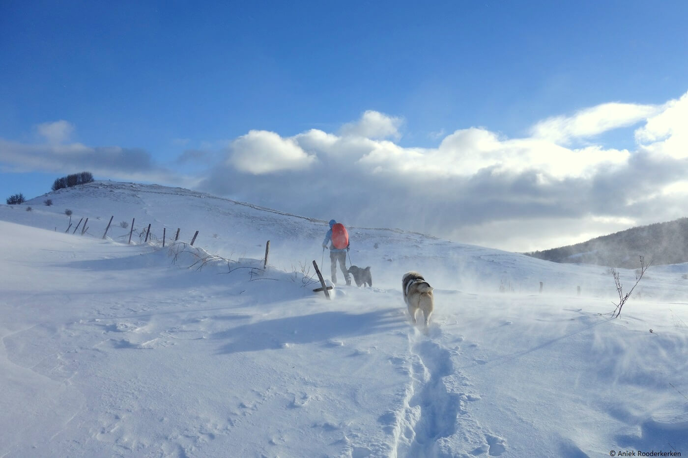 Sneeuwschoenwandelen in Bosnië en Herzegovina