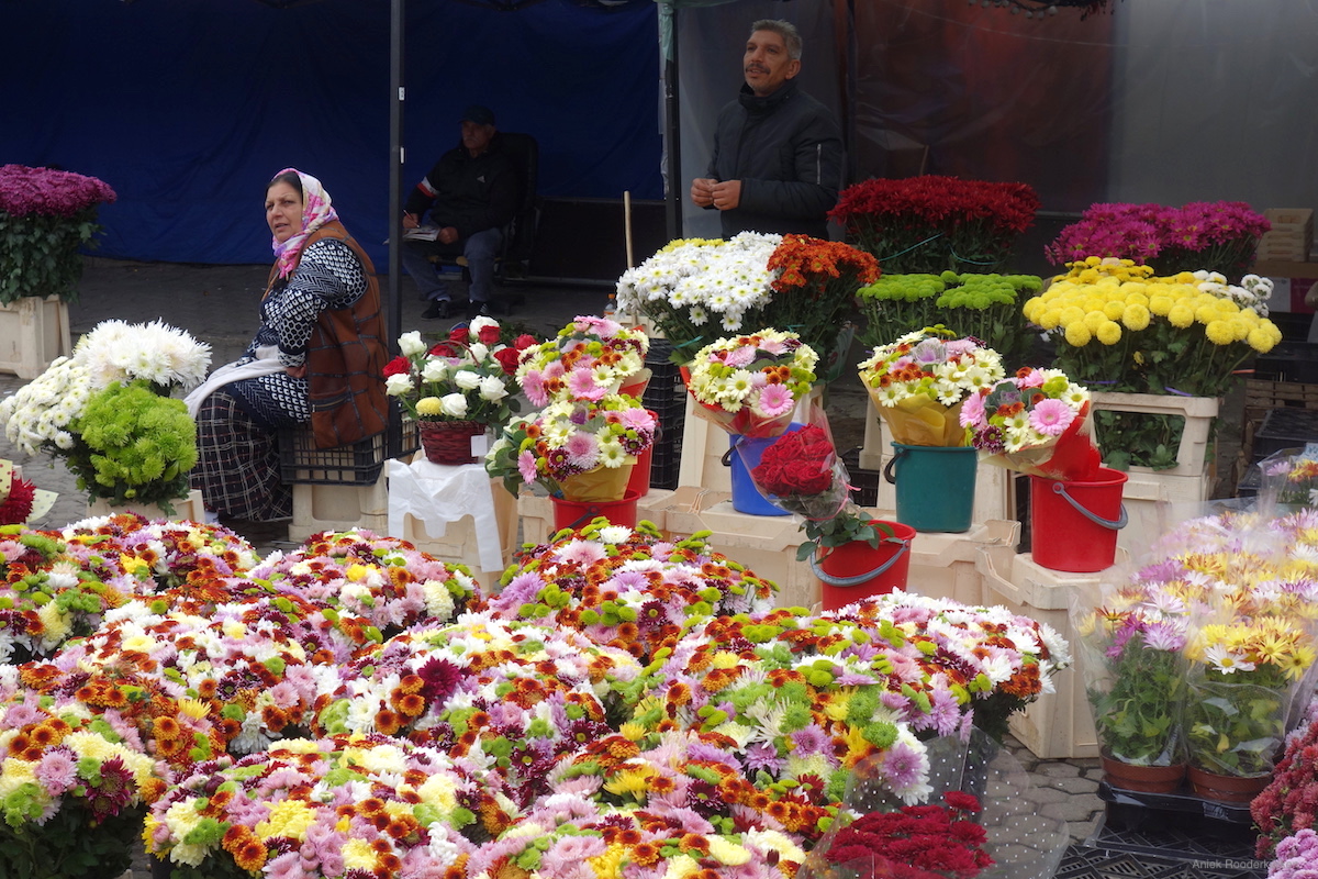 Roma erfgoed in Boekarest: Kleurrijke bloemen en een grauwe geschiedenis