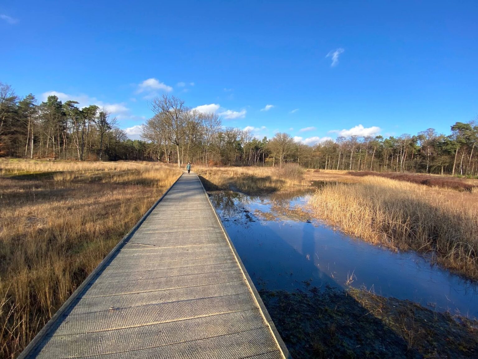 Wandelroute over de Gorsselse Heide