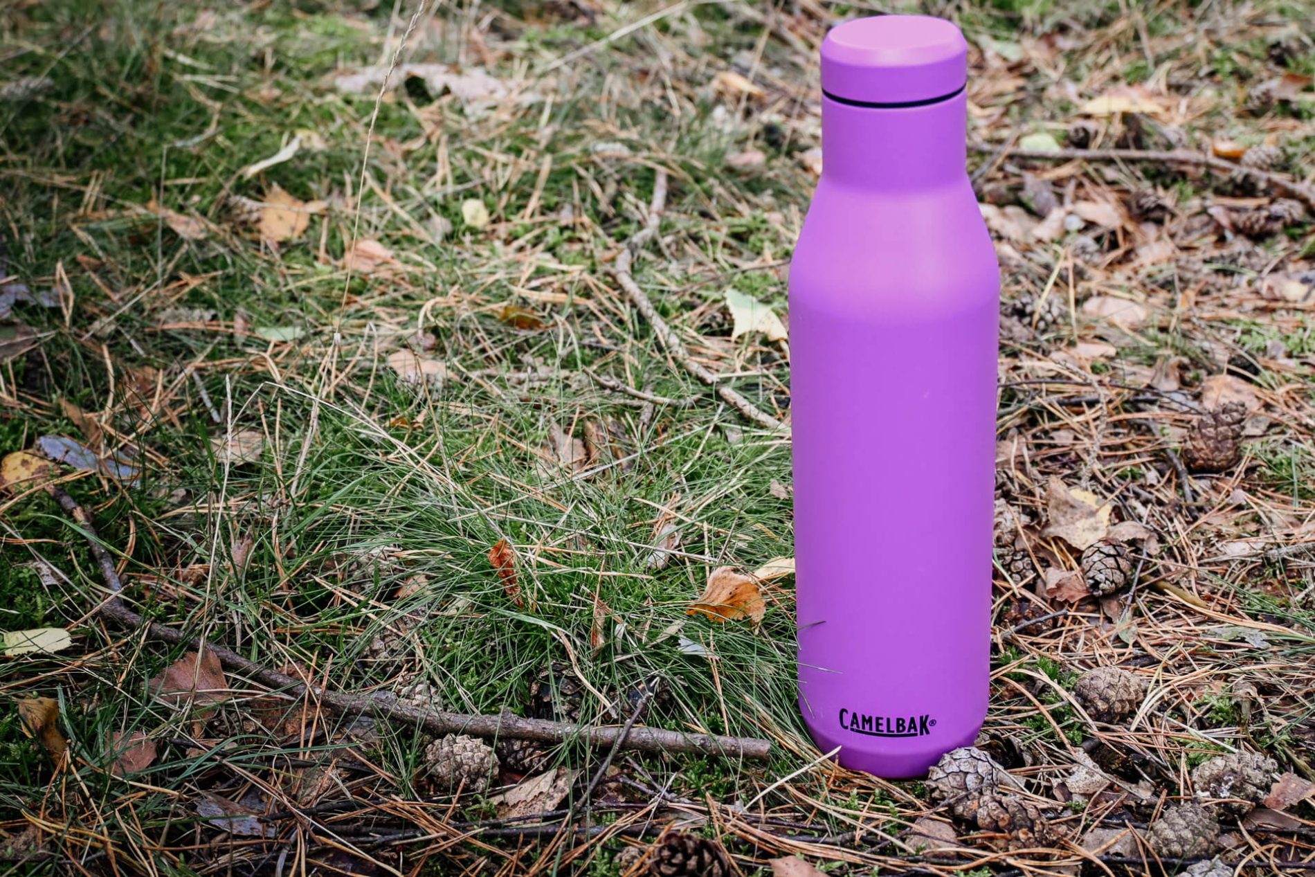 Camelbak Wine Bottle