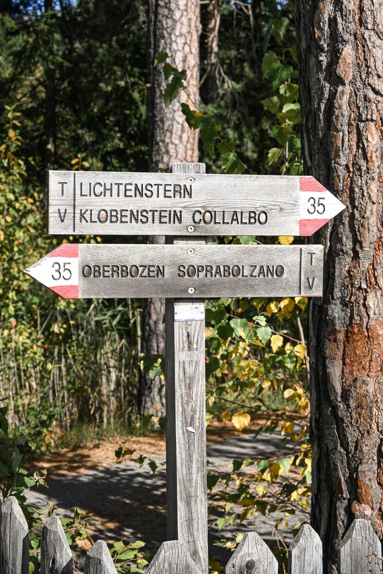 Een houten wegwijzer wijst naar Lichtenstern, Klobenstein en Oberbozen
