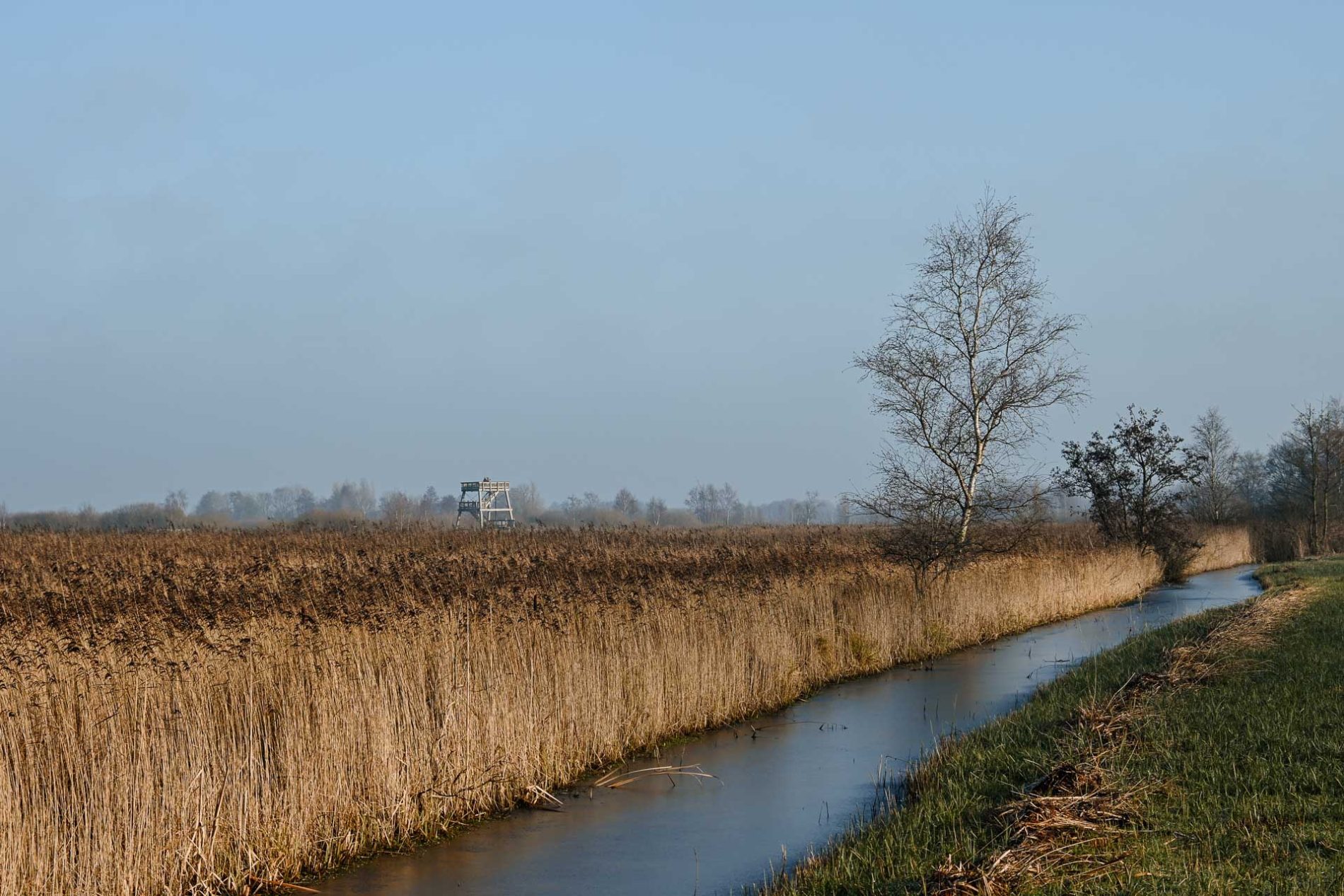 Zuidoost Friesland in de winter