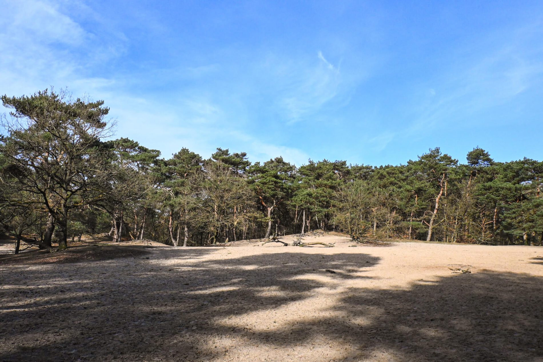 Zandverstuiving bij Driebergen-Rijsenburg