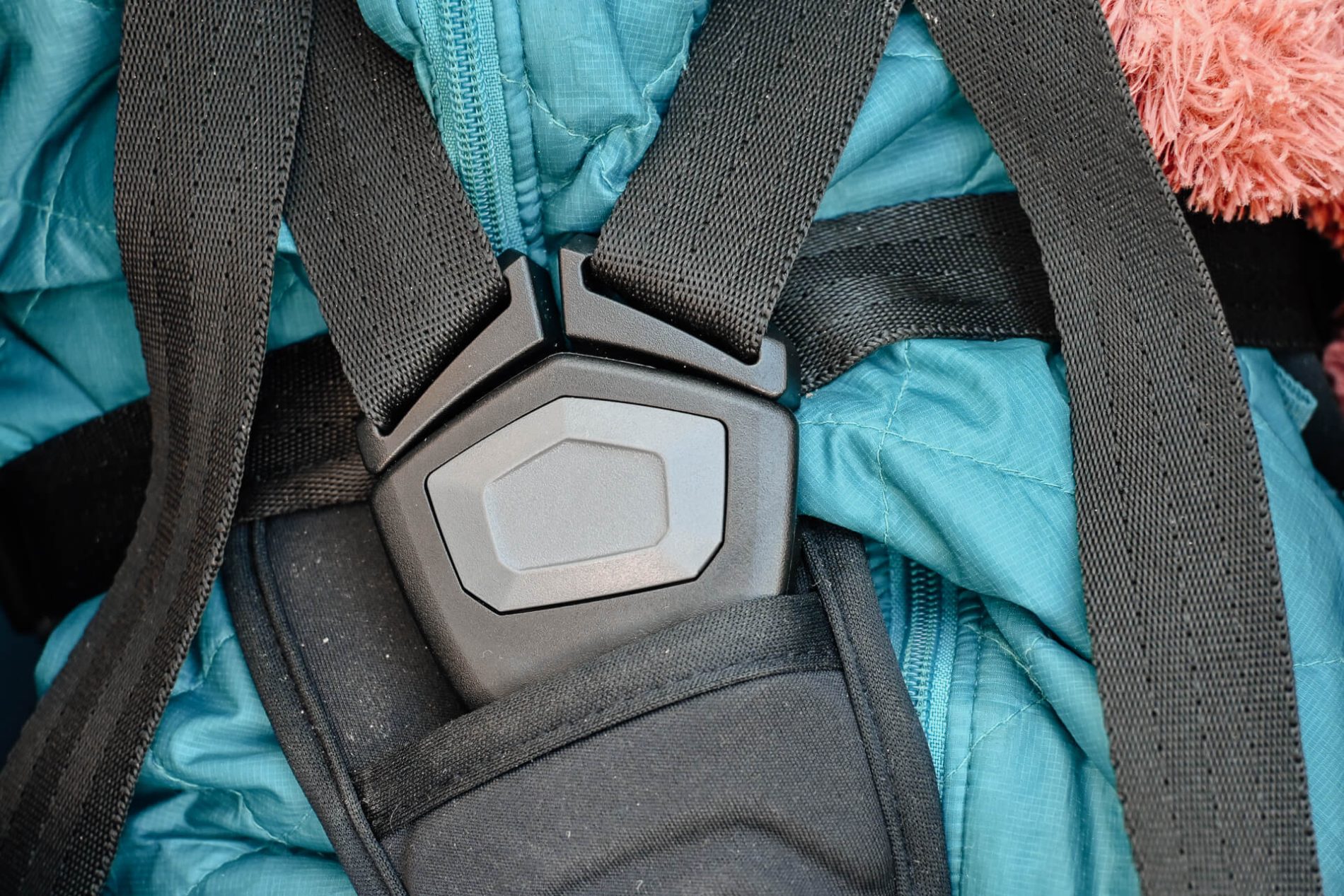 Thule fietskar vanaf welke leeftijd 5-punts veiligheidsgordel