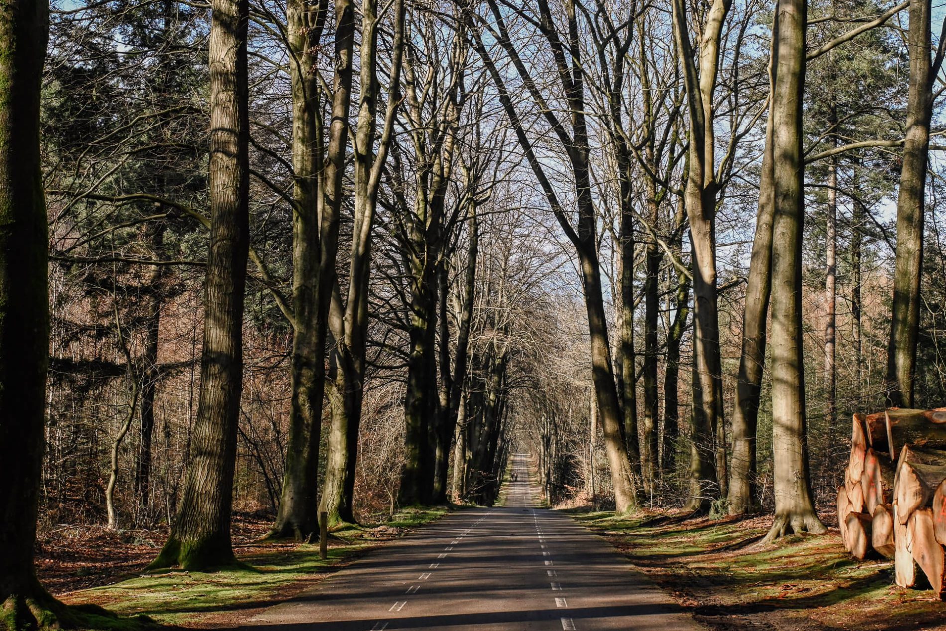 Defensieweg Rhenen
