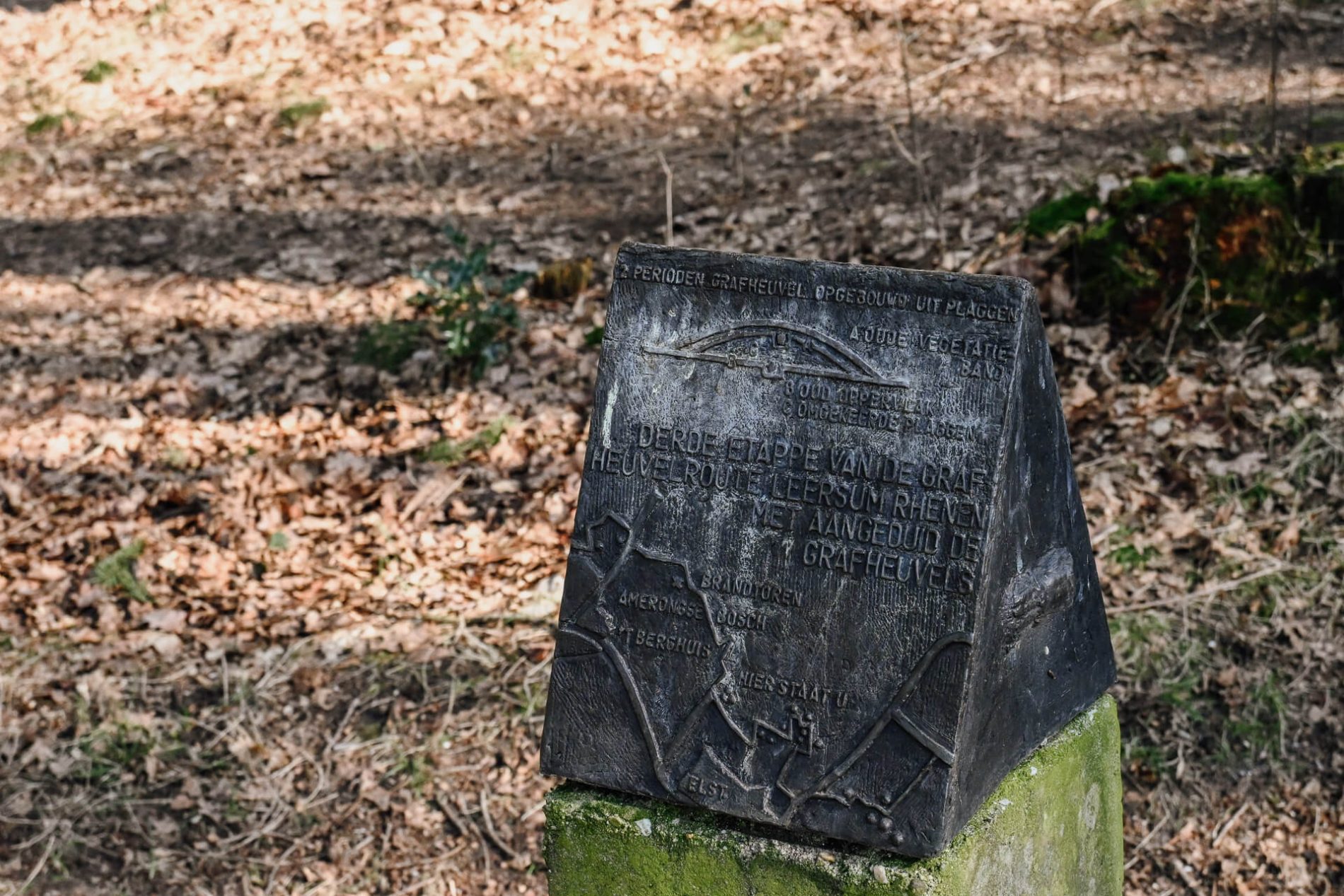 Ook loopt hier de Grafheuvelroute door het Amerongse Bos