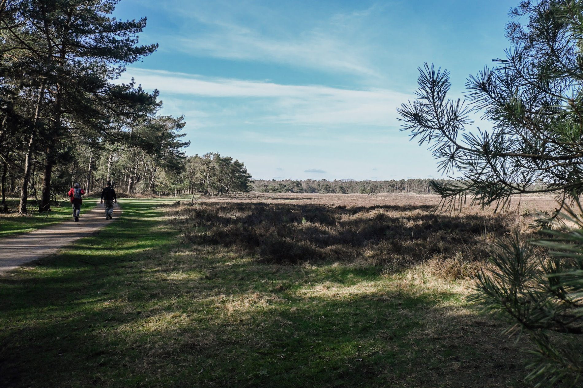 Het is ook prachtig wandelen bij het Leersumse Veld en de Leersumse Plassen