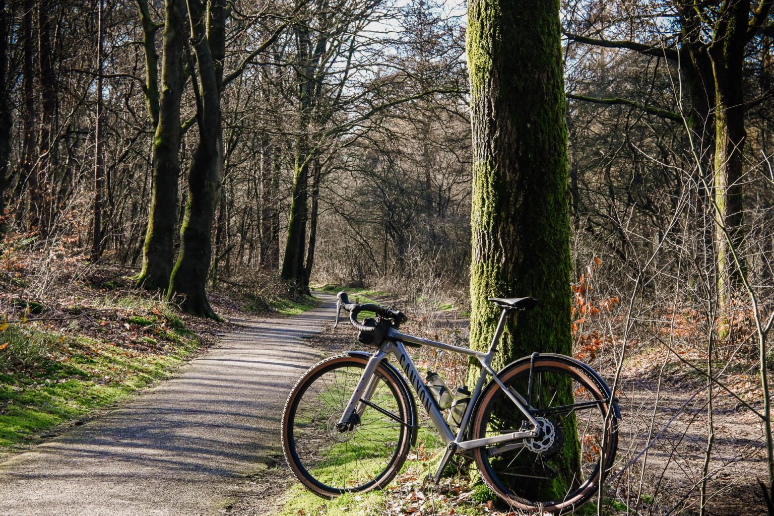 Let de Stigterpad fietsen op de Utrechtse Heuvelrug