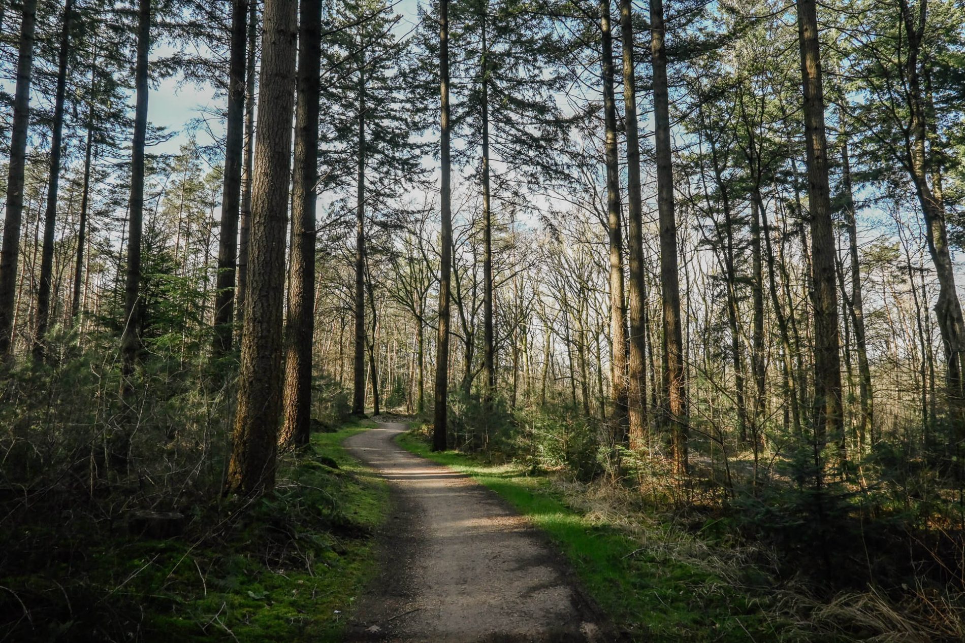 Mooiste fietspad Utrechtse Heuvelrug | Mooiste fietsroute Utrechtse Heuvelrug