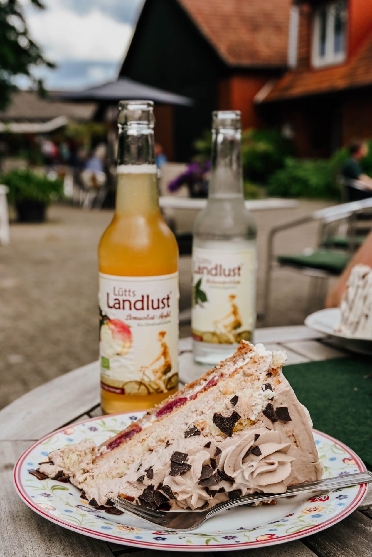 Kuchen bij Lucas Hofcafé, nabij de DummerSee