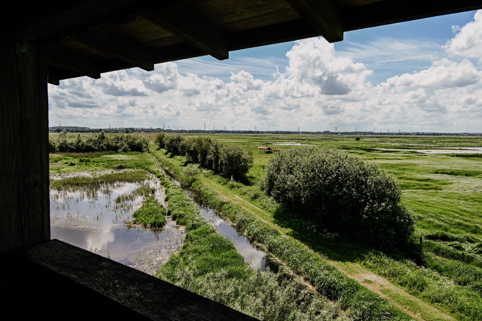 Uitkijktoren DummerSee | Natuurpark Dummer | DummerSee Duitsland | vogels spotten DummerSee