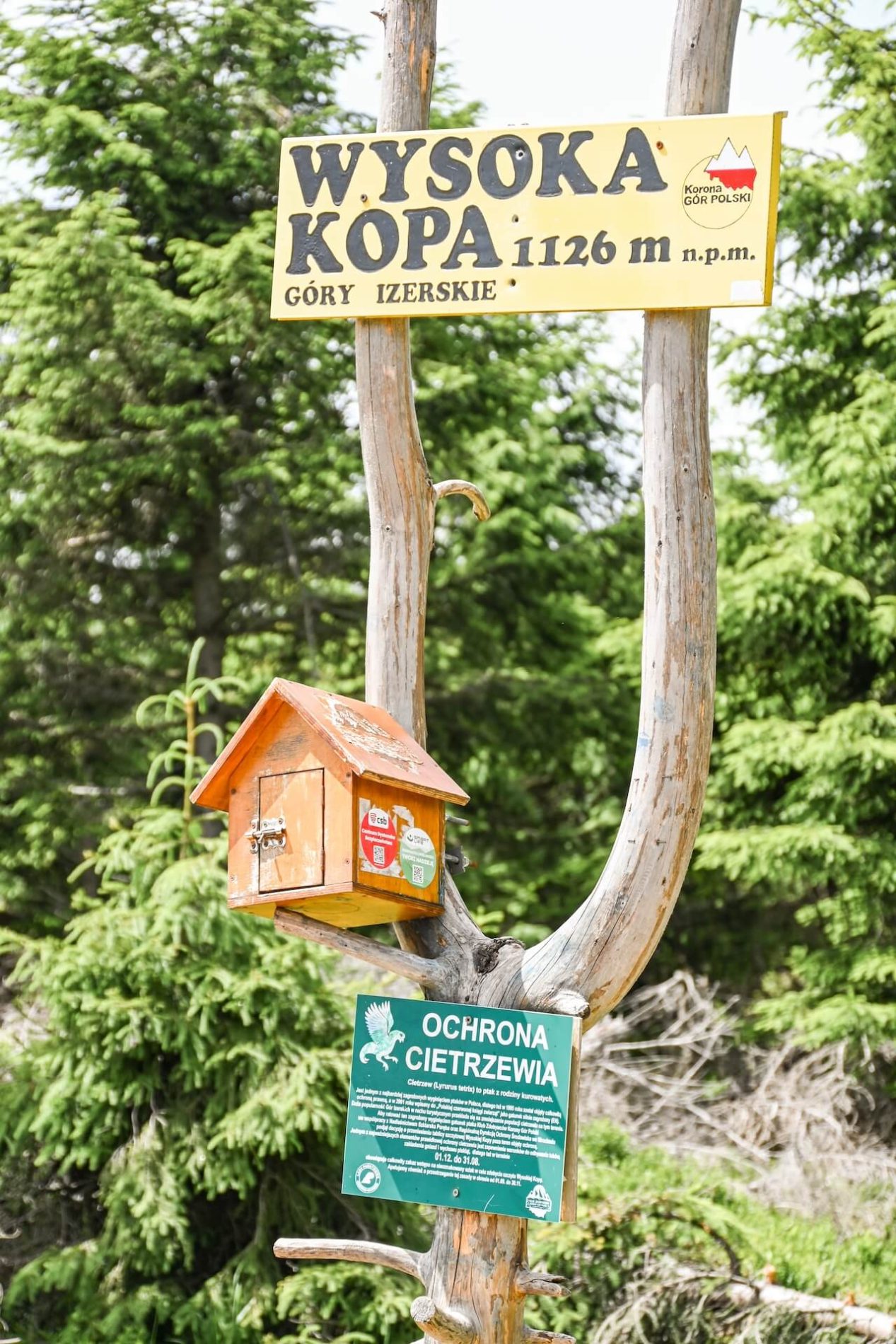 Wysoka kopa | Hoog Kopa | Polen ijzergebergte