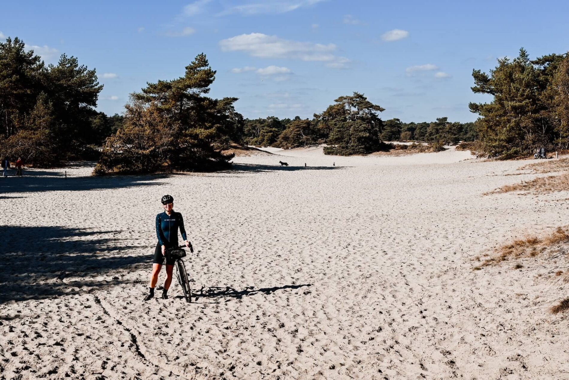 Soester Duinen | Duinen Utrechtse Heuvelrug