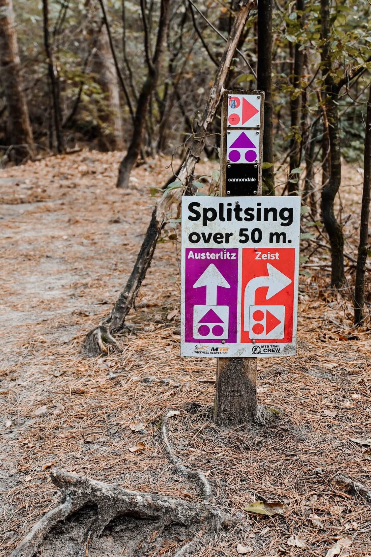 Splitsing Mountainbikeroute Zeist en Austerlitz Utrechtse Heuvelrug | mountainbiken op de Utrechtse Heuvelrug