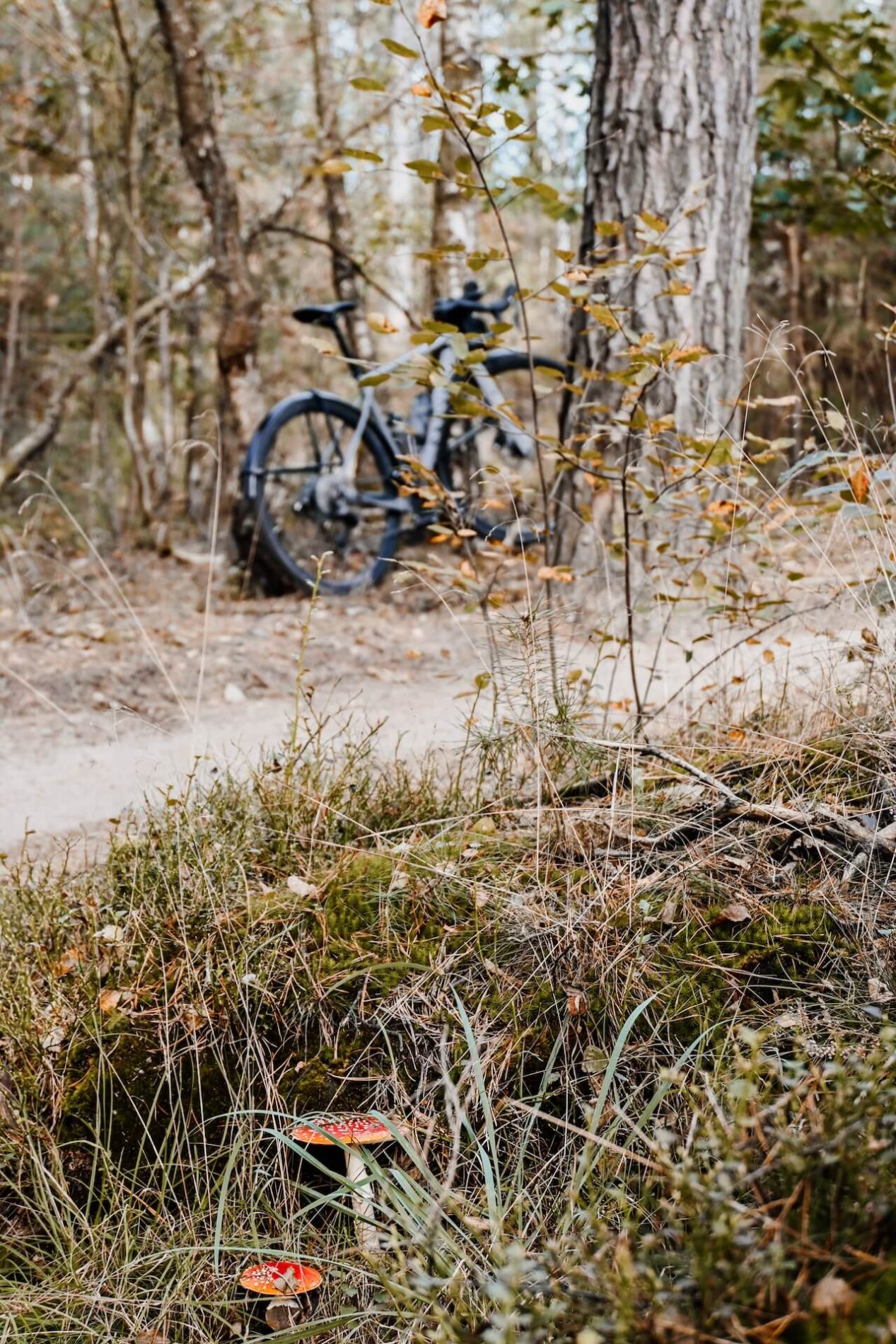Mountainbiken in de herfst