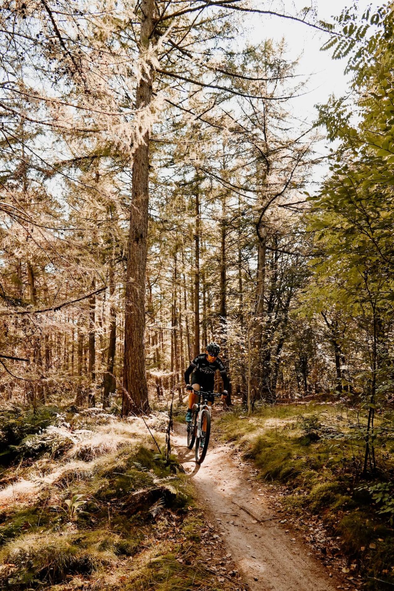 Mountainbikeroute Soest | mountainbiken op de Utrechtse Heuvelrug