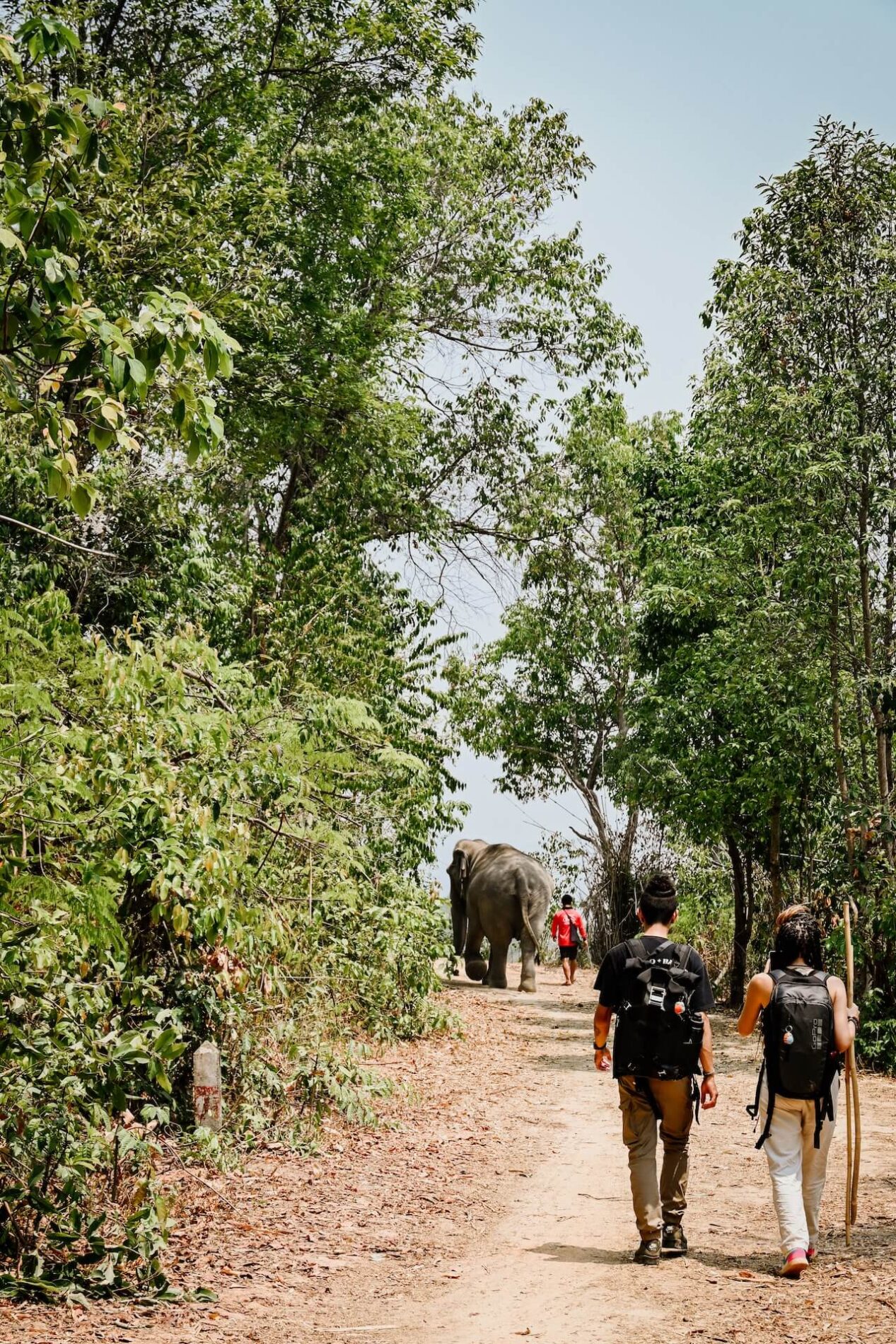 Chiang Chill olifantenopvang Chiang Mai