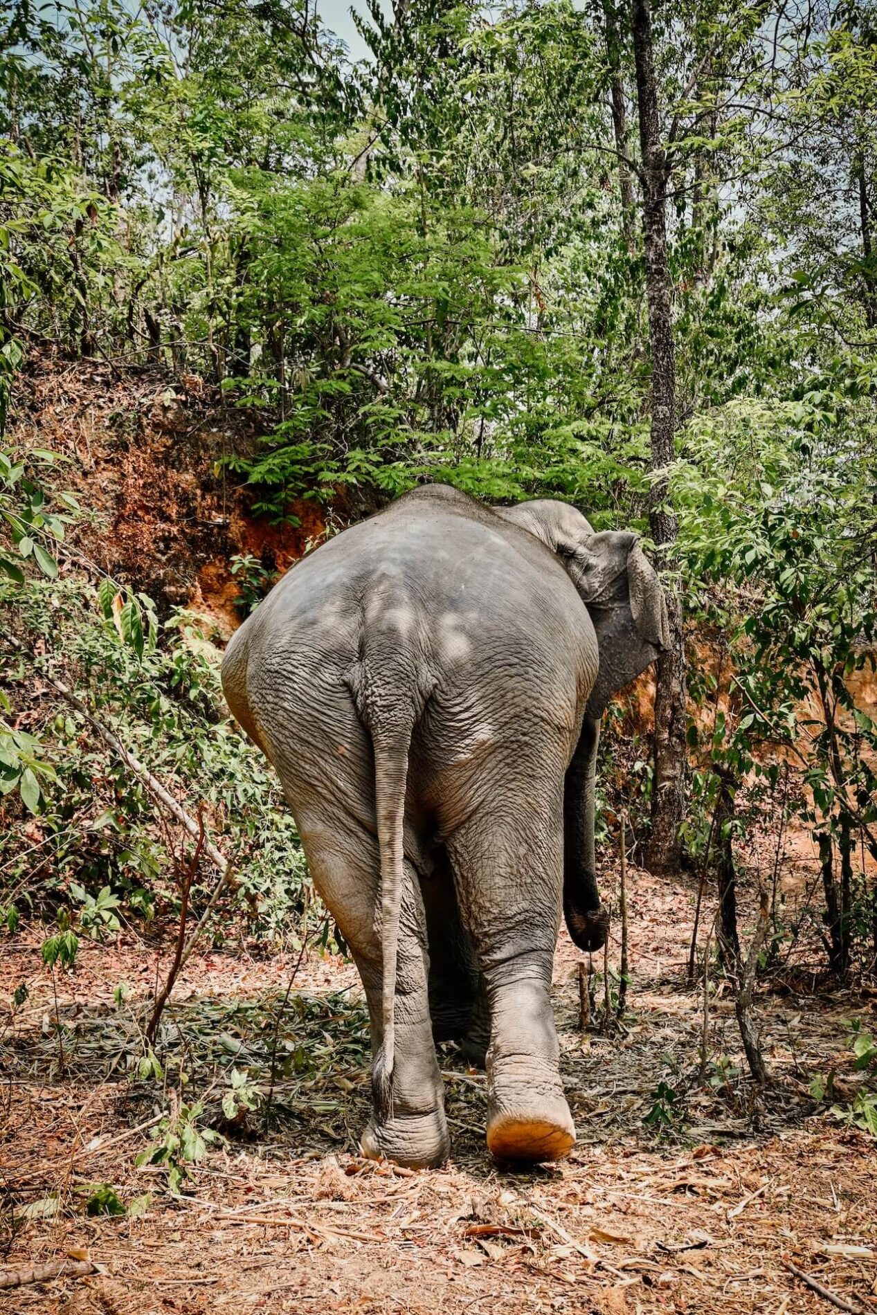 Dat betekent dat ze ieder moment weg kunnen lopen