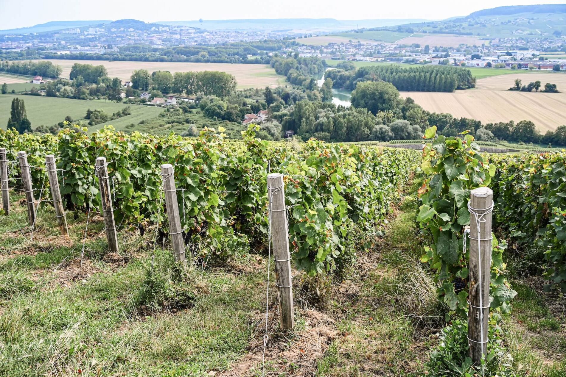 Roadtrip naar de Champagnestreek