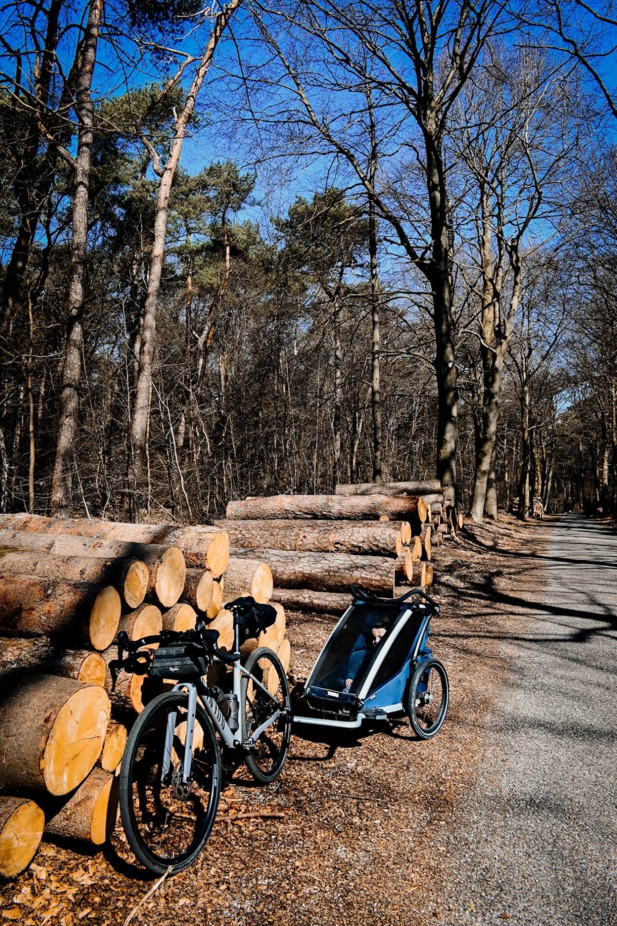 Bikepacken met de Thule fietskar
