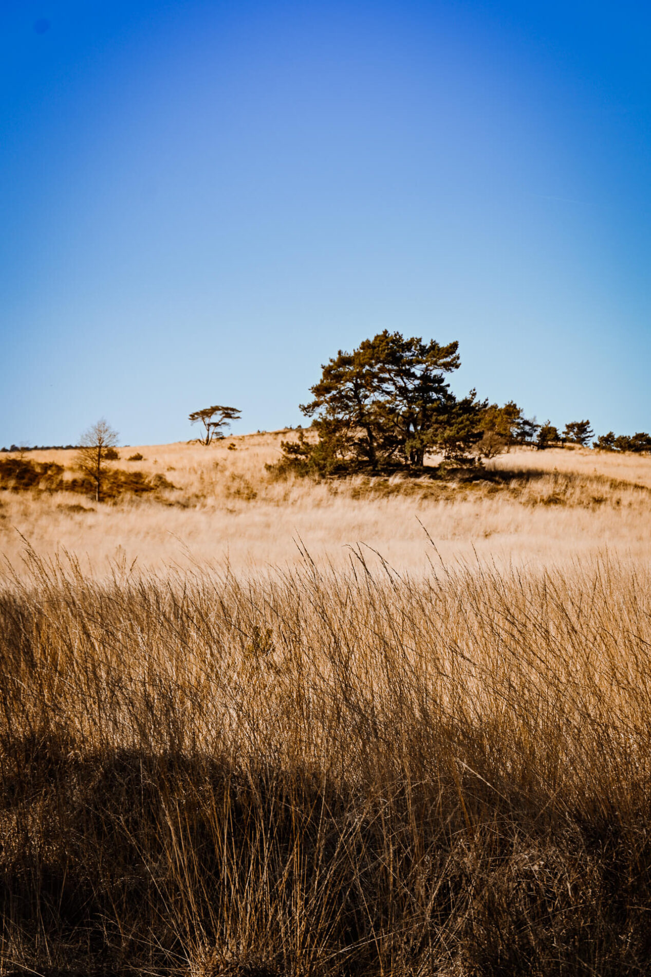 Onderweg komen we door prachtige landschappen