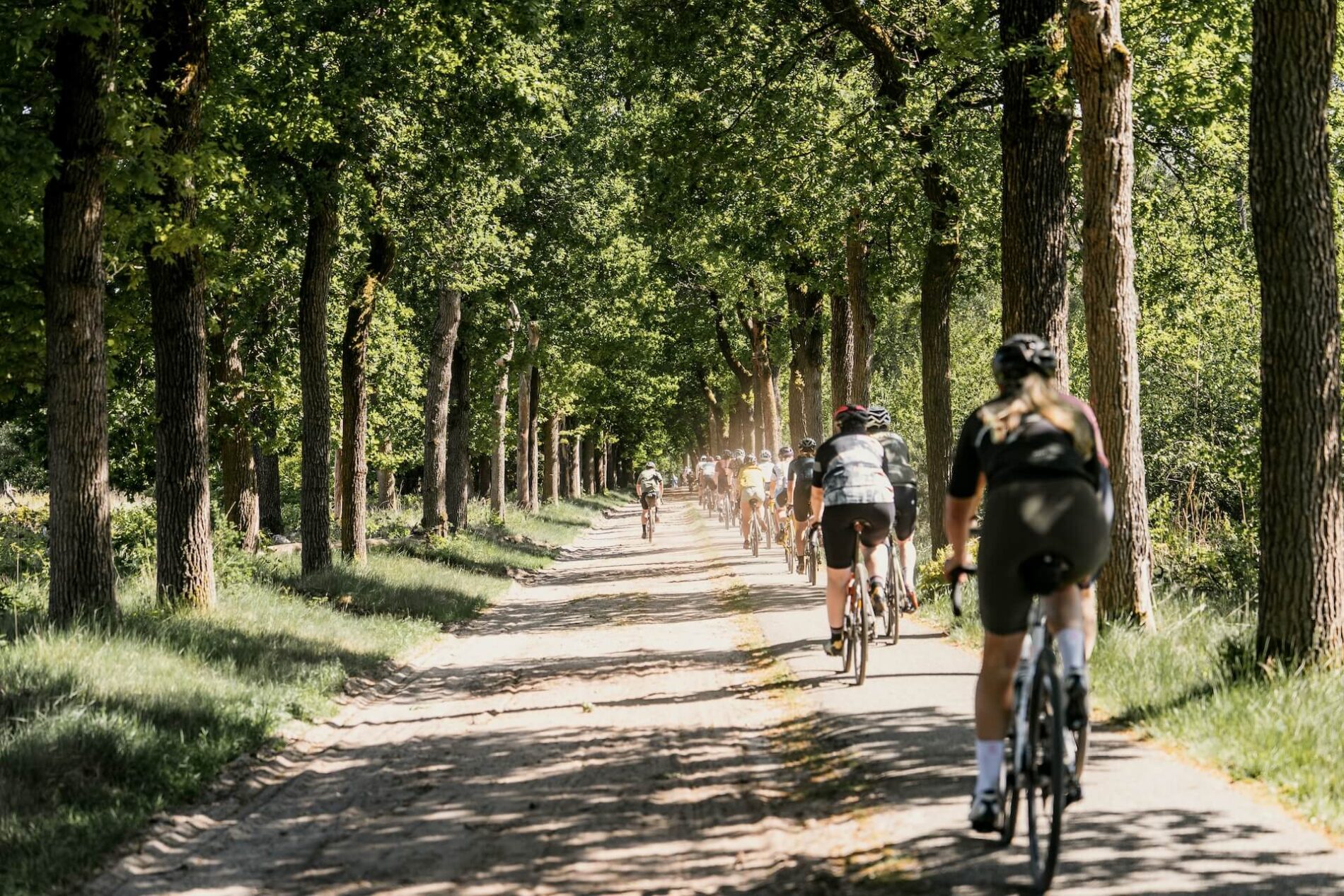 Gravelfietsen op de Utrechtse Heuvelrug