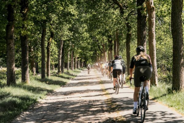 Gravelfietsen op de Utrechtse Heuvelrug