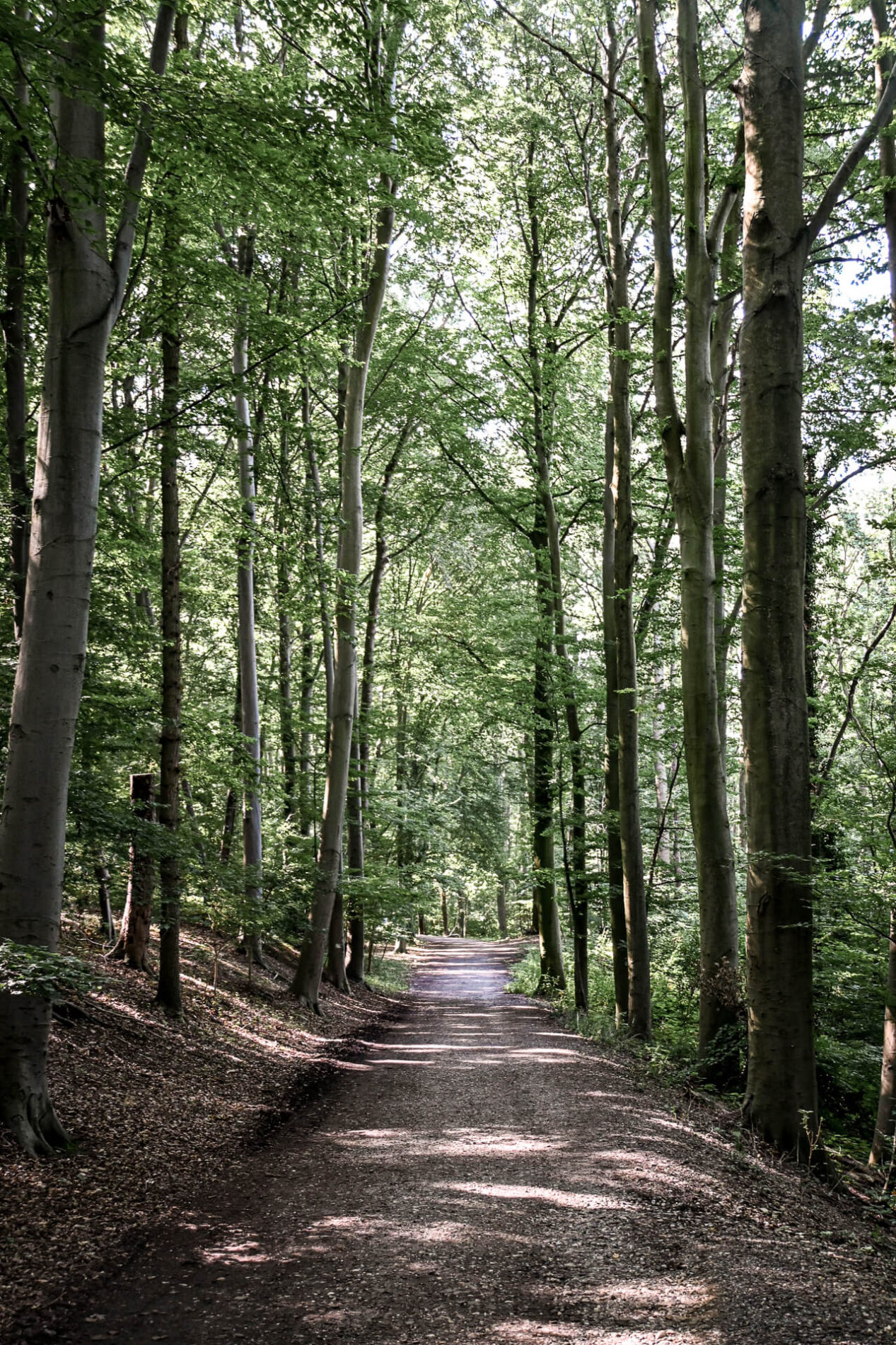 Wandelroute ENCI-groeve Maastricht Limburg