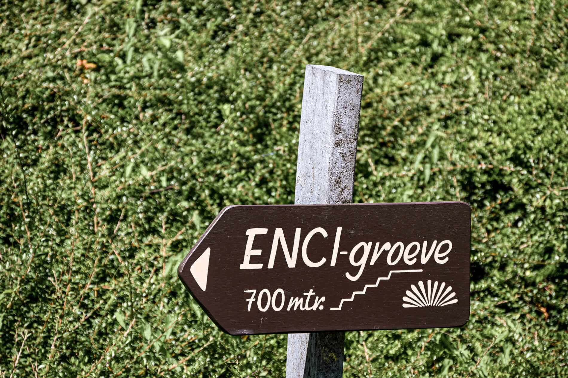 Wandelroute ENCI-groeve 700 meter