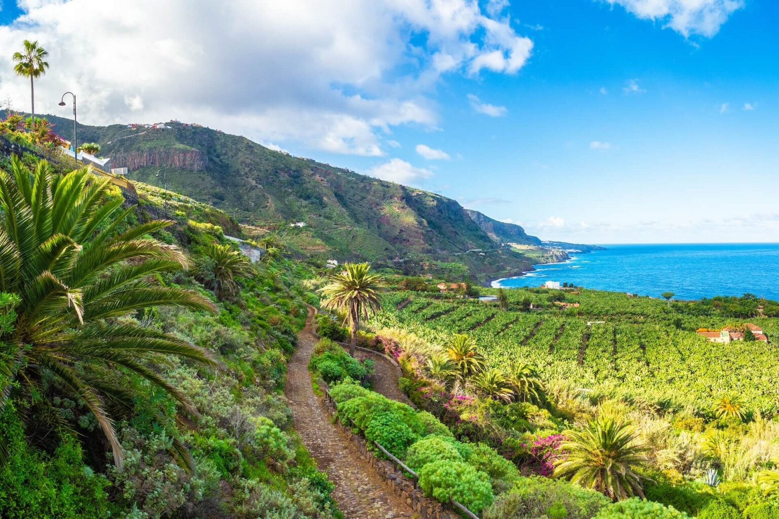 Noord Tenerife