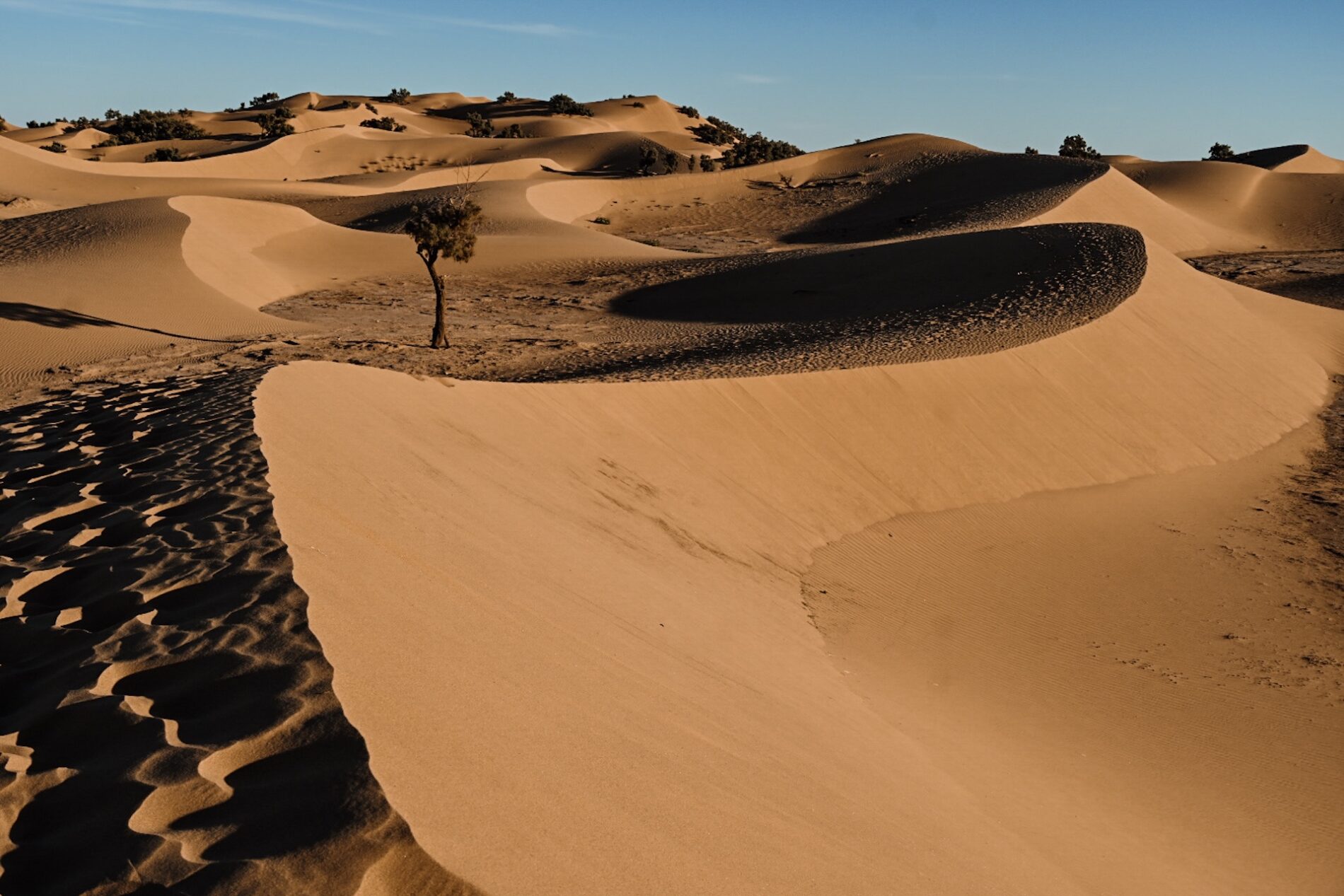 Zandduinen in de Marokkaanse Sahara